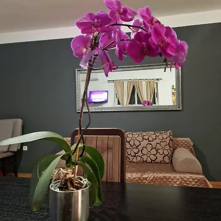 Poretti For 2,in Center Parking Free In The Yard,6 Min Walk *