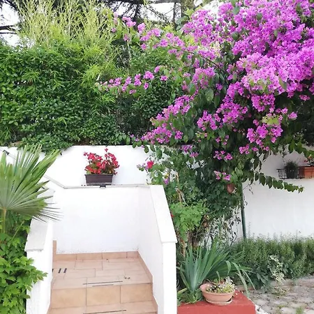 Appartement Poretti For 2,in Center Parking Free In The Yard,6 Min Walk *
