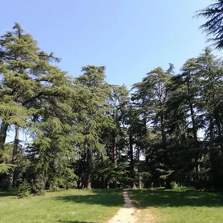 Apartment Poretti For 2,in Center Parking Free In The Yard,6 Min Walk