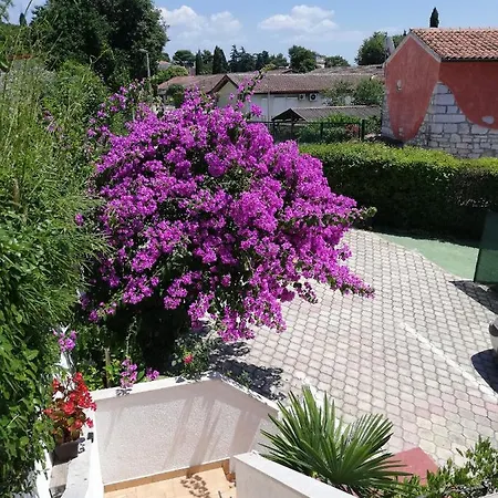 Poretti For 2,in Center Parking Free In The Yard,6 Min Walk Apartman