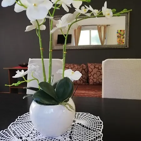 Apartman Poretti For 2,in Center Parking Free In The Yard,6 Min Walk Rovinj
