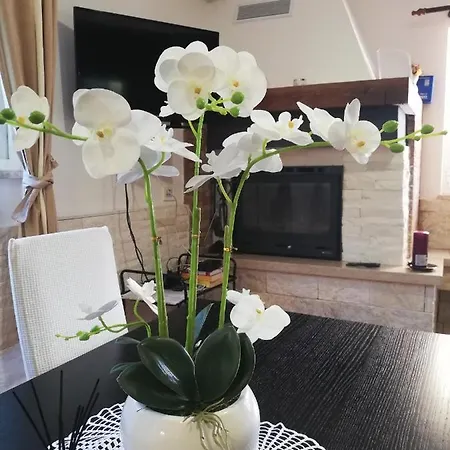 Apartment Poretti For 2,in Center Parking Free In The Yard,6 Min Walk *