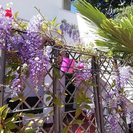 Poretti For 2,in Center Parking Free In The Yard,6 Min Walk * Rovinj