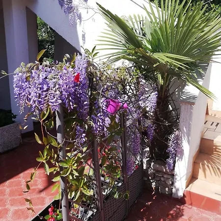 Poretti For 2,in Center Parking Free In The Yard,6 Min Walk Rovinj