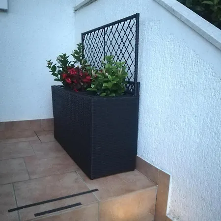 Apartment Poretti For 2,in Center Parking Free In The Yard,6 Min Walk Rovinj