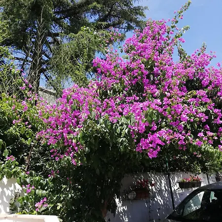 Poretti For 2,in Center Parking Free In The Yard,6 Min Walk * Rovinj