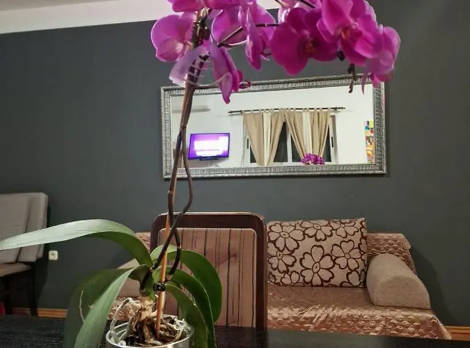 Poretti For 2,in Center Parking Free In The Yard,6 Min Walk *