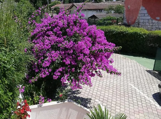 Poretti For 2,in Center Parking Free In The Yard,6 Min Walk Apartamento
