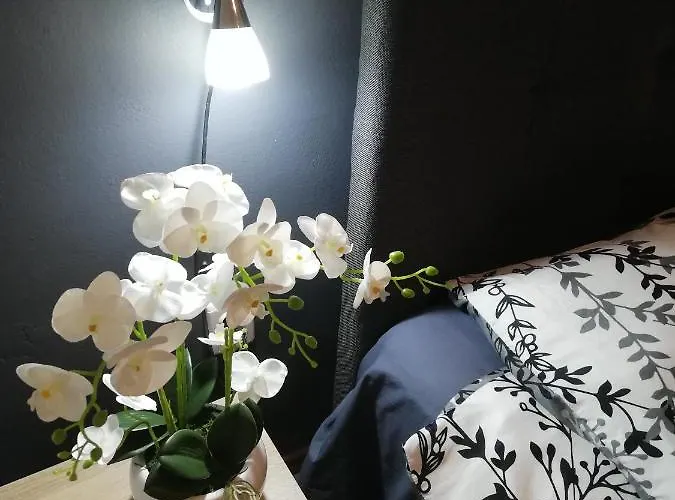 Poretti For 2,in Center Parking Free In The Yard,6 Min Walk *