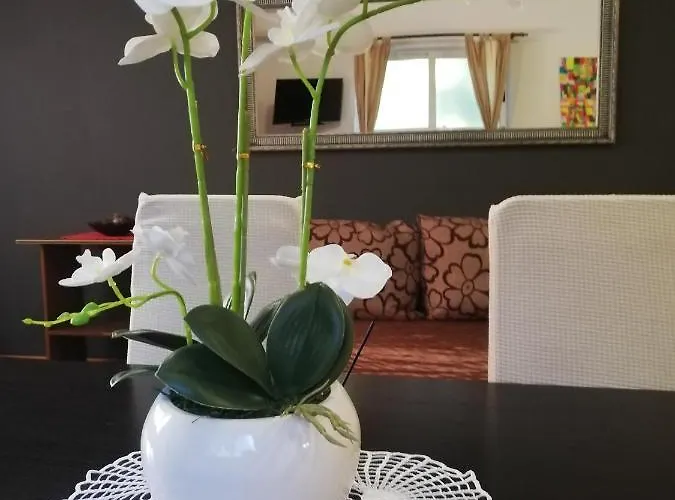 Apartamento Poretti For 2,in Center Parking Free In The Yard,6 Min Walk Rovinj