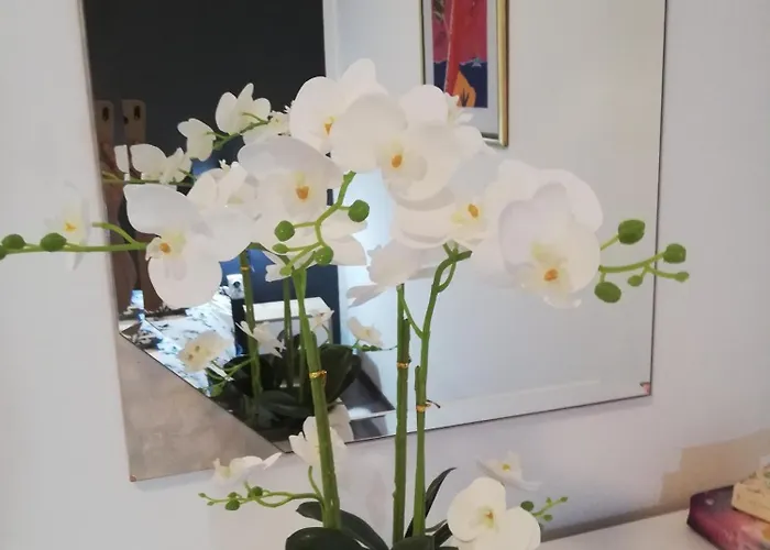 Poretti For 2,in Center Parking Free In The Yard,6 Min Walk *