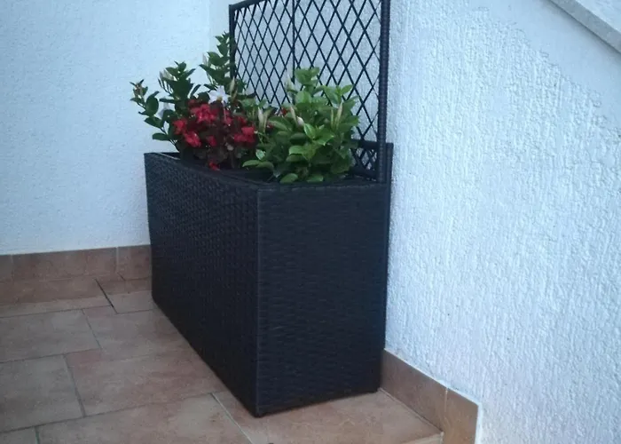 Apartamento Poretti For 2,in Center Parking Free In The Yard,6 Min Walk Rovinj